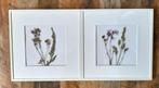 Twee fotolijstjes met daarin droogbloemen in de kleur wit., Minder dan 50 cm, Oorspronkelijke maker, Ophalen of Verzenden, Zo goed als nieuw