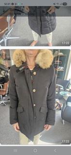 Woolrich maat xs, Kleding | Dames, Jassen | Winter, Ophalen of Verzenden, Zo goed als nieuw, Maat 34 (XS) of kleiner, Zwart