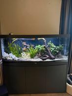 Aqualantis Aquarium Compleet, Dieren en Toebehoren, Ophalen, Zo goed als nieuw, Gevuld zoetwateraquarium