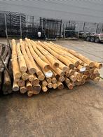 Robinia palen Ø11-14x400cm spintvrij geschuurd, Ophalen, Palen, Nieuw, Hardhout