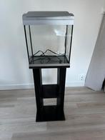 Aquarium met meubel, Dieren en Toebehoren, Gebruikt, Ophalen, Leeg aquarium