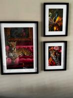 Poster lijsten in verschillende maten, Huis en Inrichting, Ophalen of Verzenden, Gebruikt, Foto of Poster, Minder dan 50 cm