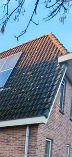 Gezocht: 50x Teeuwen Cachet dakpannen regio Groningen, Doe-het-zelf en Verbouw, Dakpannen en Dakbedekking, Ophalen, Gebruikt, Steen of Klei