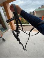 Hoofdstel schetlander, Dieren en Toebehoren, Paarden en Pony's | Hoofdstellen en Tuigage, Ophalen of Verzenden, Gebruikt, Overige soorten