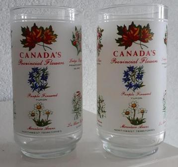 Twee Frosted Glazen met Bloemen uit Canada