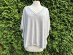 Mooi grijs shirt trui truitje Absolut Cashmere maat M, Kleding | Dames, Absolut Cashmere, Verzenden, Nieuw, Grijs