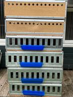 6 duivenmanden te koop, Postduif