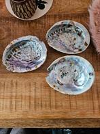 Abalone schelpen, Verzamelen, Mineralen en Fossielen, Schelp(en), Ophalen of Verzenden