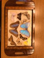 Dienblad met vlinders, Antiek en Kunst, Curiosa en Brocante, Ophalen of Verzenden