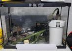 Superfish aquarium, Dieren en Toebehoren, Vissen | Aquaria en Toebehoren, Ophalen, Gevuld zoetwateraquarium
