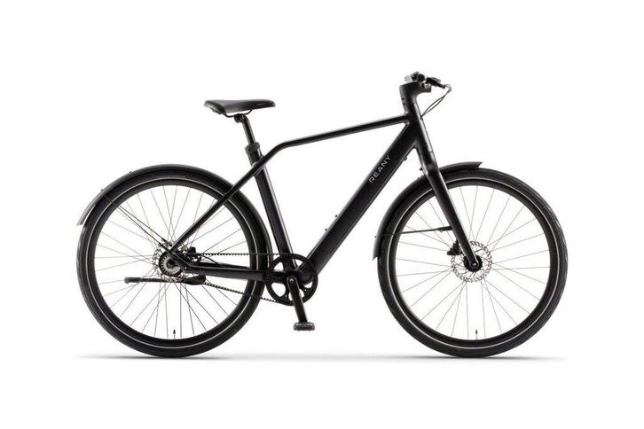 Reany N1 Nieuwe elektrische herenfiets, Fietsen en Brommers, Fietsen | Heren | Herenfietsen, Nieuw, Overige merken, 53 tot 57 cm