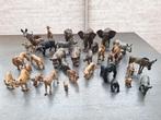 Schleich Afrikaanse Dieren - Diverse Soorten, Ophalen of Verzenden, Zo goed als nieuw, Wild dier, Beeldje of Figuurtje