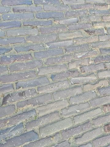 oude waaltjes beschikbaar voor biedingen