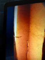 Murano Glas Vis - 65cm, Antiek en Kunst, Antiek | Glas en Kristal, Ophalen of Verzenden