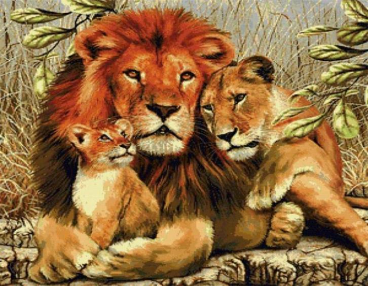 Diamond Painting set Leeuw met welpen 20x30cm, Hobby en Vrije tijd, Overige Hobby en Vrije tijd, Nieuw, Ophalen of Verzenden