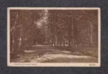 Assen Drenthe Hoofdlaan in het Bosch 1930. beschikbaar voor biedingen