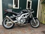 Suzuki SV650 - 2004, MIVV-demper, hyperpro vering, Motoren, LED Verlichting, 2 cilinders, Motorrijbewijs A, Particulier
