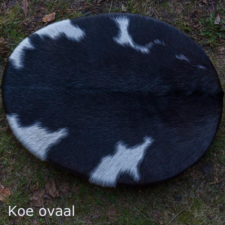 Sjamanendrum, Muziek en Instrumenten, Percussie, Nieuw, Overige soorten, Ophalen of Verzenden