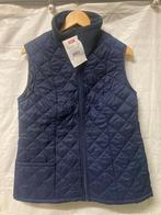 Nieuw! Dames thermobodywarmer bodywarmer 42, Kleding | Dames, Blauw, Maat 42/44 (L), Onbekend, Nieuw