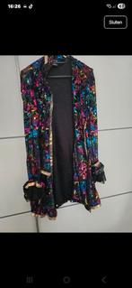 2x carnavals jas zit geen goed bij alleen de jas, Kleding | Dames, Mutsen, Sjaals en Handschoenen, Ophalen of Verzenden, Zo goed als nieuw