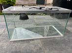Terrarium te koop, Dieren en Toebehoren, Reptielen en Amfibieën | Toebehoren, Ophalen, Gebruikt, Terrarium of Paludarium