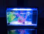Super fish home aquarium 30 liter ZWART, Dieren en Toebehoren, Vissen | Aquaria en Toebehoren, Ophalen, Zo goed als nieuw, Leeg aquarium