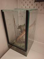 Wandelende takken, Ophalen, Zo goed als nieuw