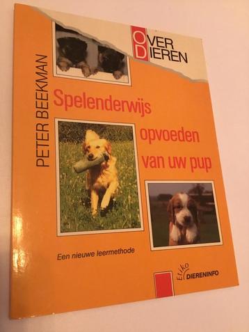 Spelenderwijs opvoeden van uw pup beschikbaar voor biedingen