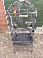 Papegaaien vogelkooi metalen kooi vogelkooi, Ophalen, Zo goed als nieuw, Metaal, Vogelkooi