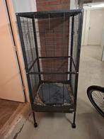 Kooi te koop voor vogel of knaagdier., Dieren en Toebehoren, Ophalen, Minder dan 75 cm, Kooi, 60 tot 90 cm
