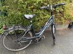 KOGA GrandTourer dames trekking fiets 53cm, Fietsen en Brommers, Ophalen, 53 tot 56 cm, Zo goed als nieuw, Koga Miyata