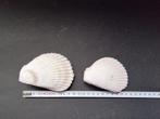 beetje roze zit er in deze schepjes nu 1,00 per stuk, Ophalen of Verzenden, Mineraal