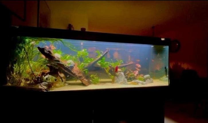 Dennerle Trocal Led 160cm + Controller - Aquariumverlichting, Dieren en Toebehoren, Vissen | Aquaria en Toebehoren, Zo goed als nieuw