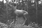 974253	Otterlo	Hoenderloo	Gld 1962 Hoge Veluwe Stenen Hert	N, Ophalen of Verzenden, 1960 tot 1980, Ongelopen, Gelderland
