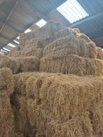 Strobalen te koop en weide hooibalen, Ophalen of Verzenden