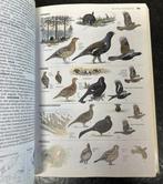 ANWB Vogelgids van Europa, Boeken, Ophalen of Verzenden, Gelezen, Vogels