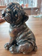 Franse buldog beeld, Ophalen of Verzenden
