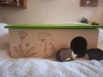 Egelkistje met boekje, Huis en Inrichting, Woonaccessoires | Kisten, Ophalen, Gebruikt, Minder dan 50 cm, Minder dan 50 cm