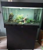 Compleet mooi juwel aquarium, Ophalen, Zo goed als nieuw, Gevuld zoetwateraquarium
