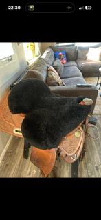 Zadelbondje western naturfelle, Ophalen of Verzenden, Zo goed als nieuw, Dekje