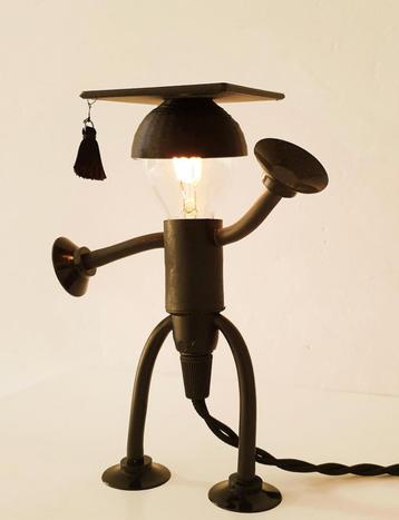 Lampje /Cadeau Idee/Eindexamen/Geslaagd/Afstuderen/Diploma  beschikbaar voor biedingen