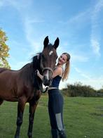 Verzorger/bijrijder aangeboden!, Ophalen of Verzenden