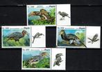 angola 2018 - pf serie neushoornvogels birds vogels, Ophalen of Verzenden, Postfris, Dier of Natuur