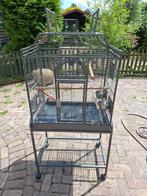 Vogelkooi, Dieren en Toebehoren, Ophalen, Gebruikt, Metaal, Vogelkooi