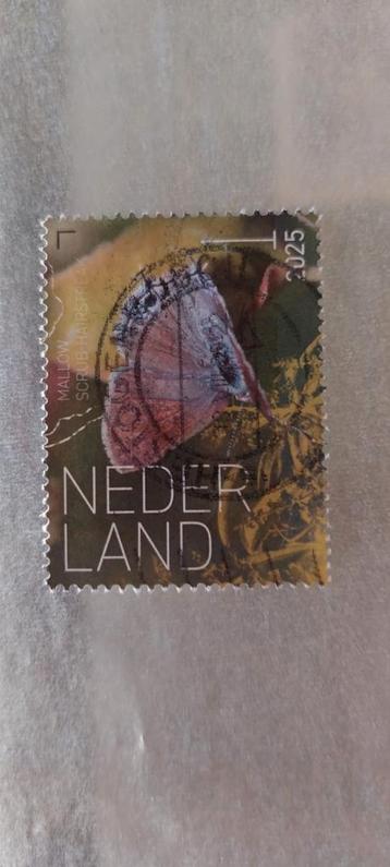 Persoonlijke zegel Nederland  beschikbaar voor biedingen