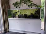 Aquarium, Dieren en Toebehoren, Vissen | Aquaria en Toebehoren, Ophalen, Leeg aquarium