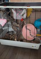 Ratten/fretten kooi Furat Ferplast, Ophalen, Kooi, Zo goed als nieuw, 90 cm of meer