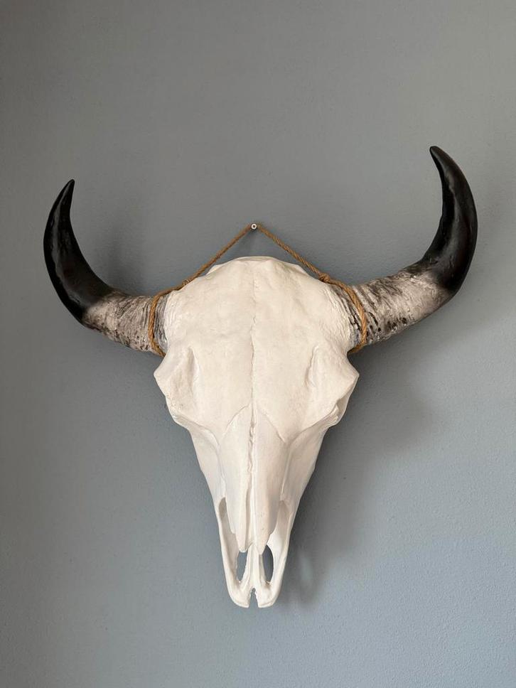Wanddecoratie - Stierenhoofd, Huis en Inrichting, Woonaccessoires | Wanddecoraties, Zo goed als nieuw, Ophalen