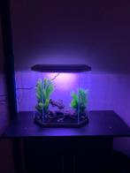 ciano aqua 30 led 40x20x40 wit, Dieren en Toebehoren, Ophalen, Zo goed als nieuw, Leeg aquarium