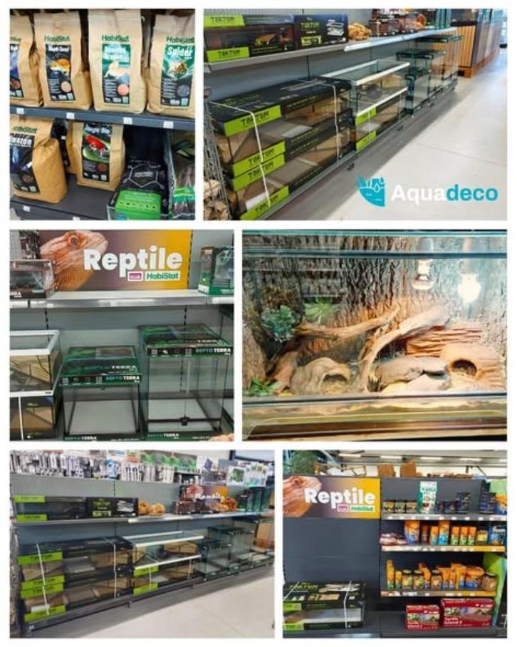 Alles voor uw Reptielen, Dieren en Toebehoren, Reptielen en Amfibieën | Toebehoren, Nieuw, Overige typen, Ophalen of Verzenden